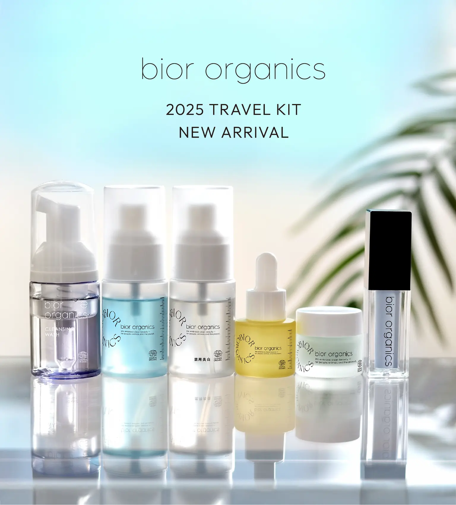 ビオール、新色コンパクト、ブルー☆オリジナル5点セット(ブライト ビオール、新色コンパクト、ブルー☆オリジナル5点セット(ブライト